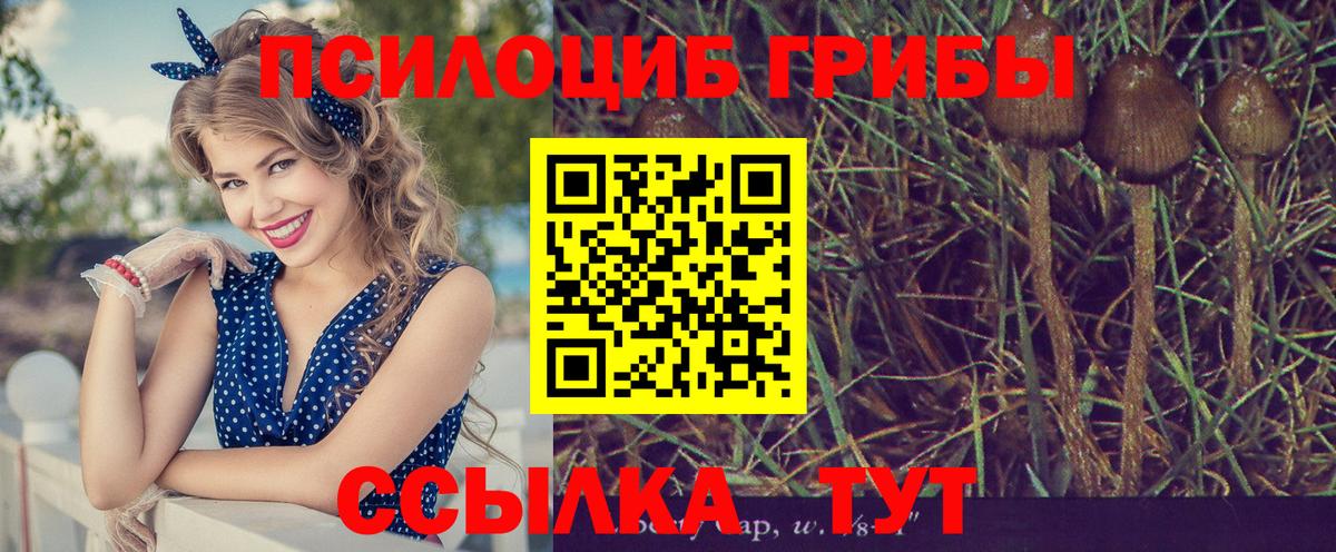 Галлюциногенные грибы Psilocybine cubensis  Вход с VPN  Клинцы  Галлюциногенные грибы мухоморы 